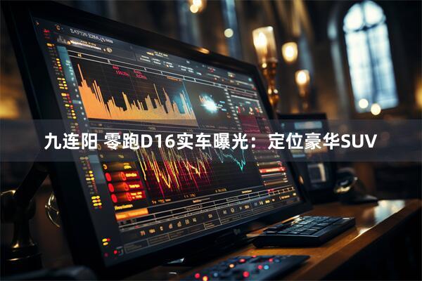 九连阳 零跑D16实车曝光：定位豪华SUV