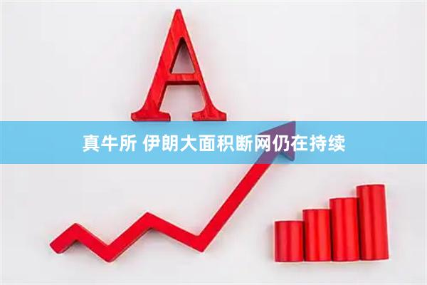 真牛所 伊朗大面积断网仍在持续