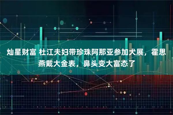 灿星财富 杜江夫妇带珍珠阿那亚参加犬展,霍思燕戴大金表,鼻头变大富态了